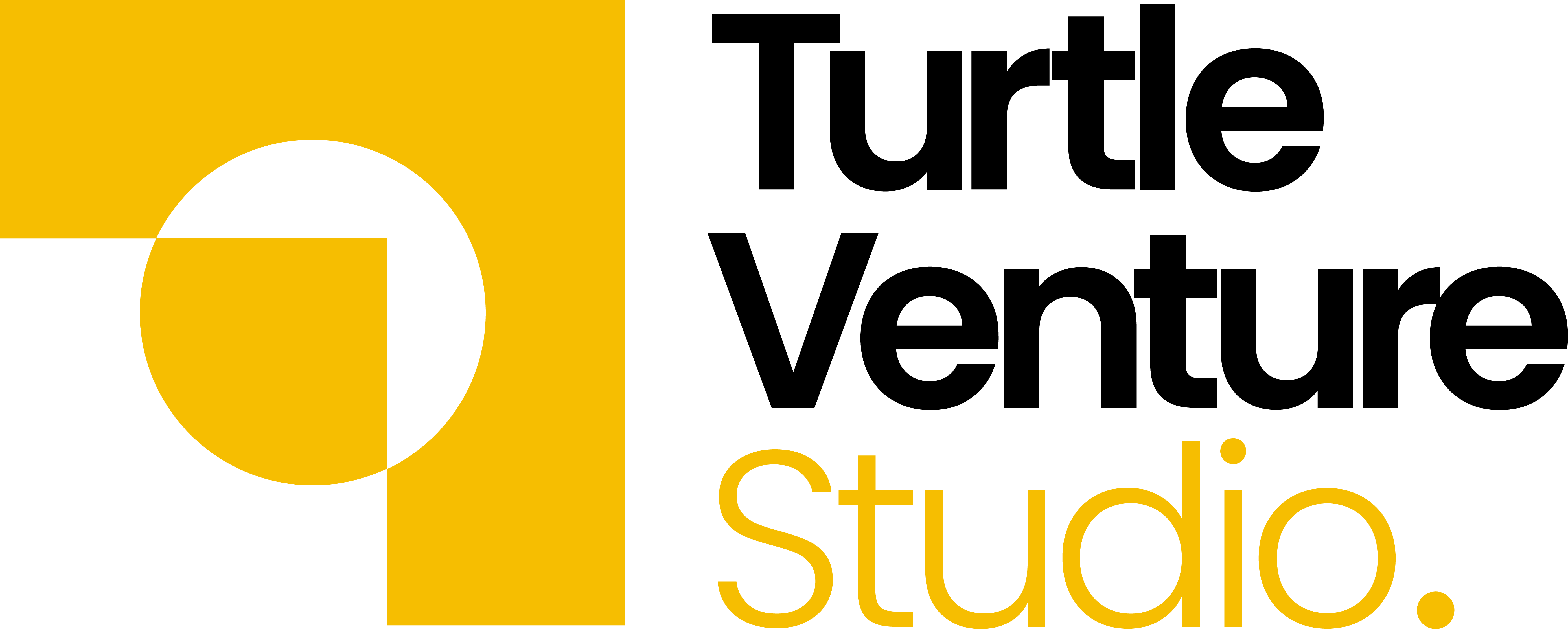 Turtle Venture Logo